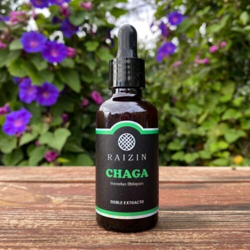 Chaga - Doble Extracto x50mL.